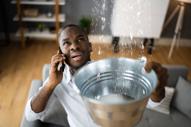 Best 24/7 water damage repair  in Rochester, IN
