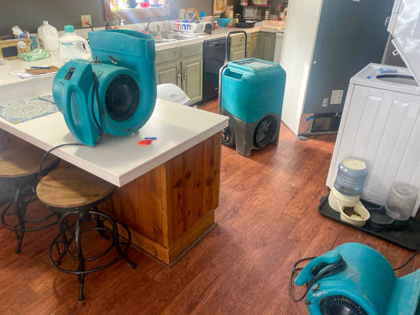 Best Mold removal after water damage  in Rochester, IN