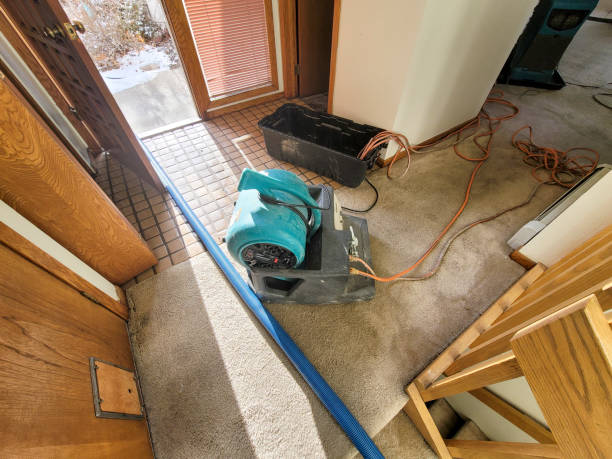 Best Basement water damage restoration  in Rochester, IN