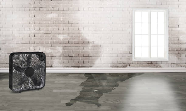 Water damage restoration process in Rochester, IN