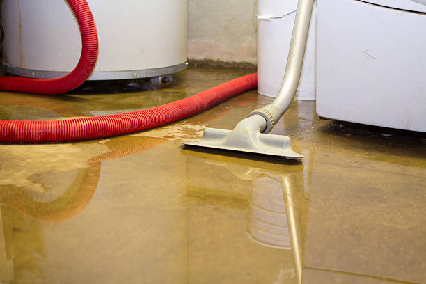 Best Basement water damage restoration  in Rochester, IN