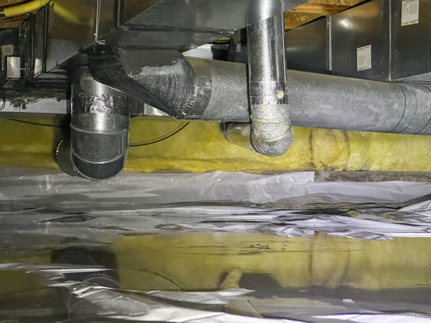 Best Sewage cleanup and water damage restoration  in Rochester, IN