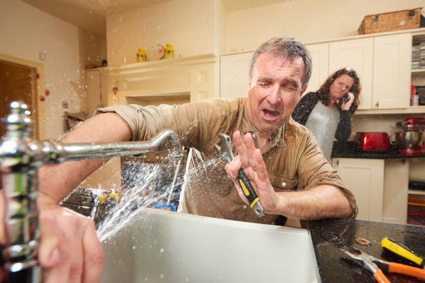 Best Water damage cleanup near me  in Rochester, IN